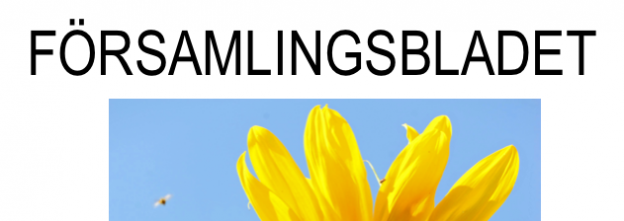 Skärmavbild 2018-06-15 kl. 17.41.39