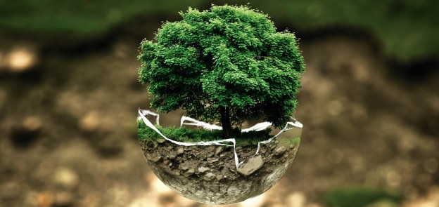 environmental-protection-683437_960_720