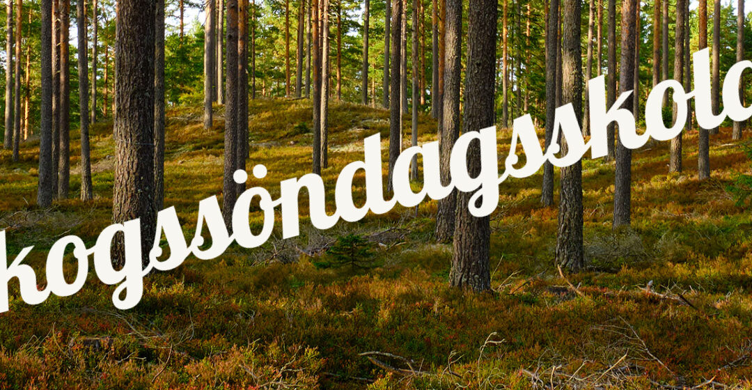 Skogssöndagsskolan