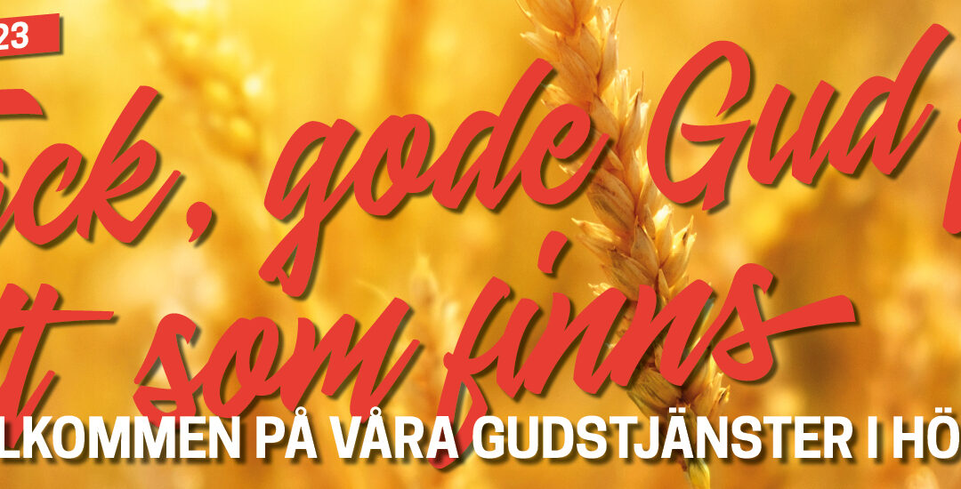 Gudstjänster kl. 11 fr o m söndag 8/8
