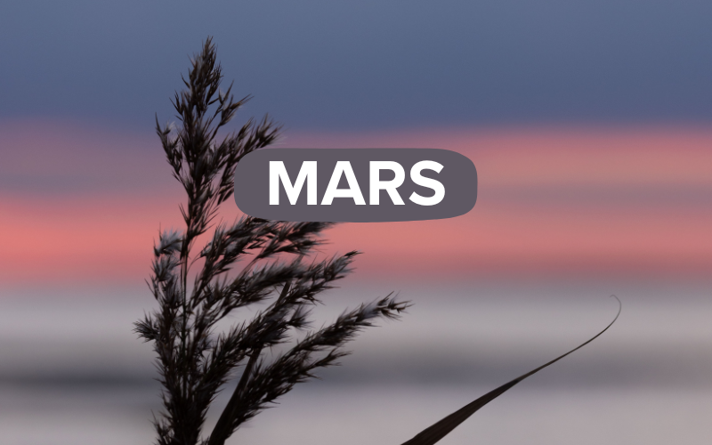 Mars i Lutherska missionskyrkan